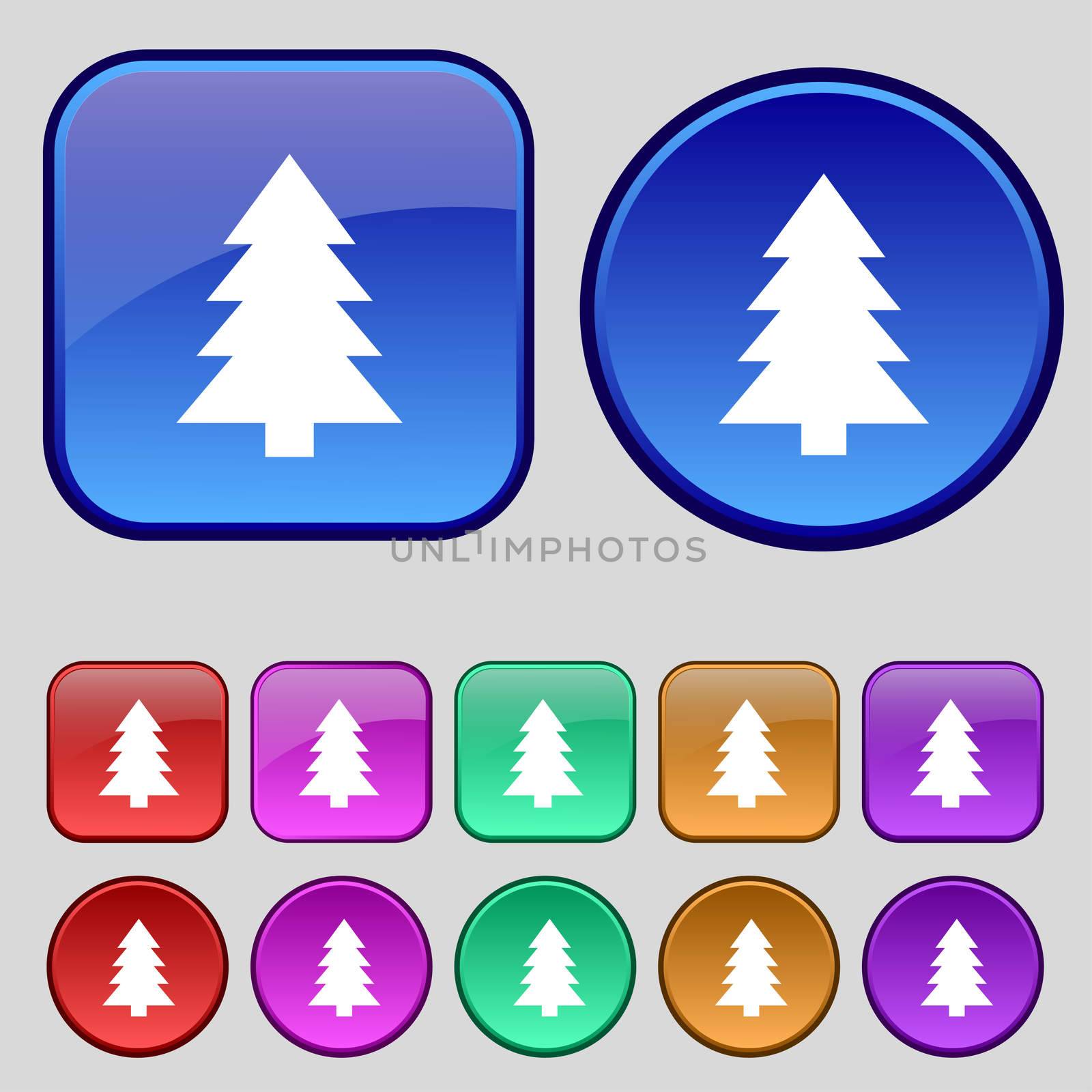 Christmas tree sign icon. Holidays button. Set of colored buttons. illustration