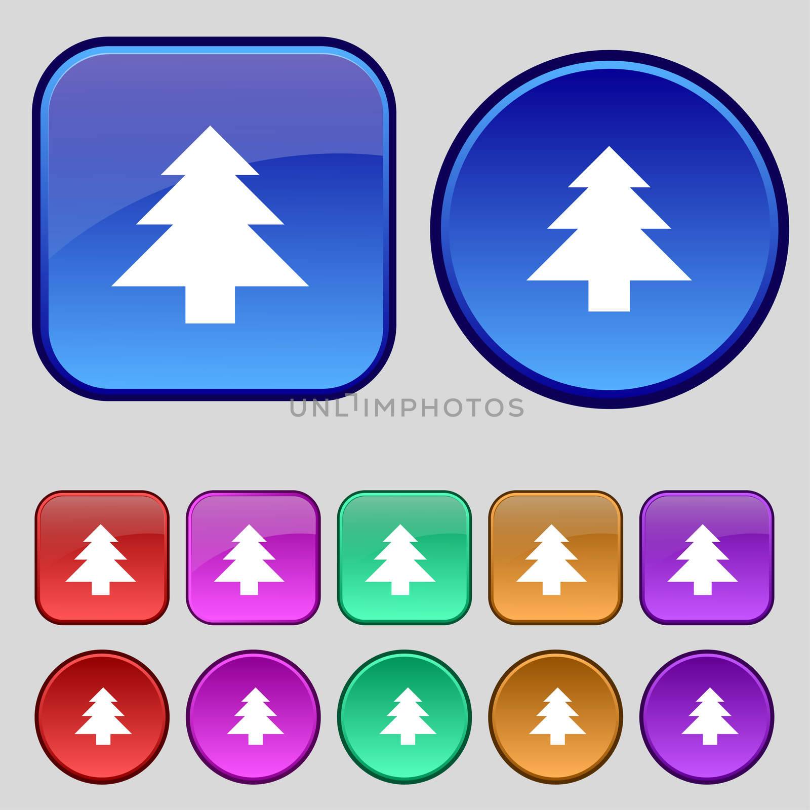 Christmas tree icon sign. A set of twelve vintage buttons for your design. illustration