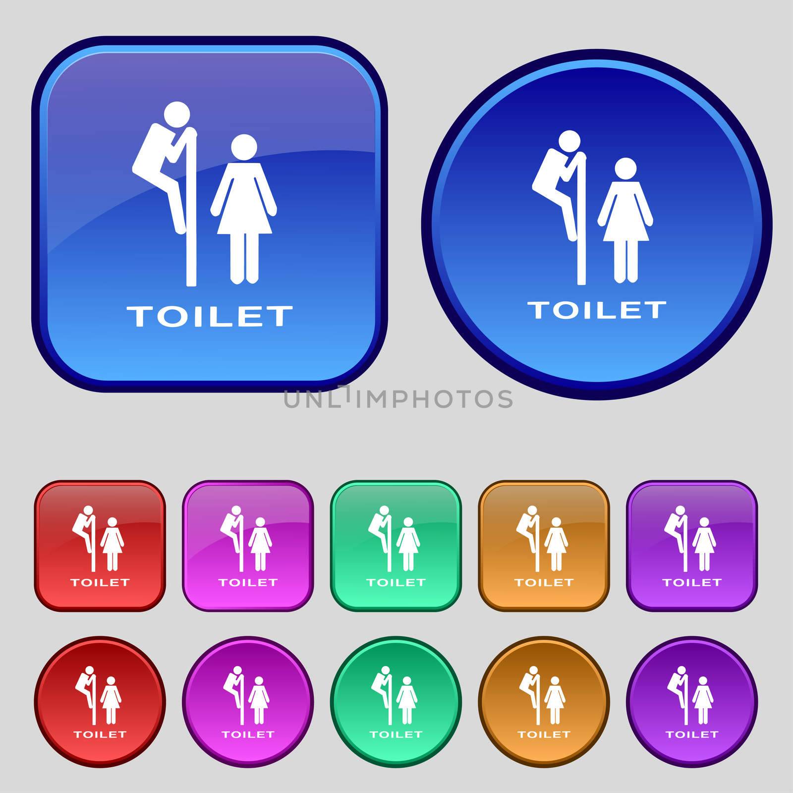 toilet icon sign. A set of twelve vintage buttons for your design. illustration