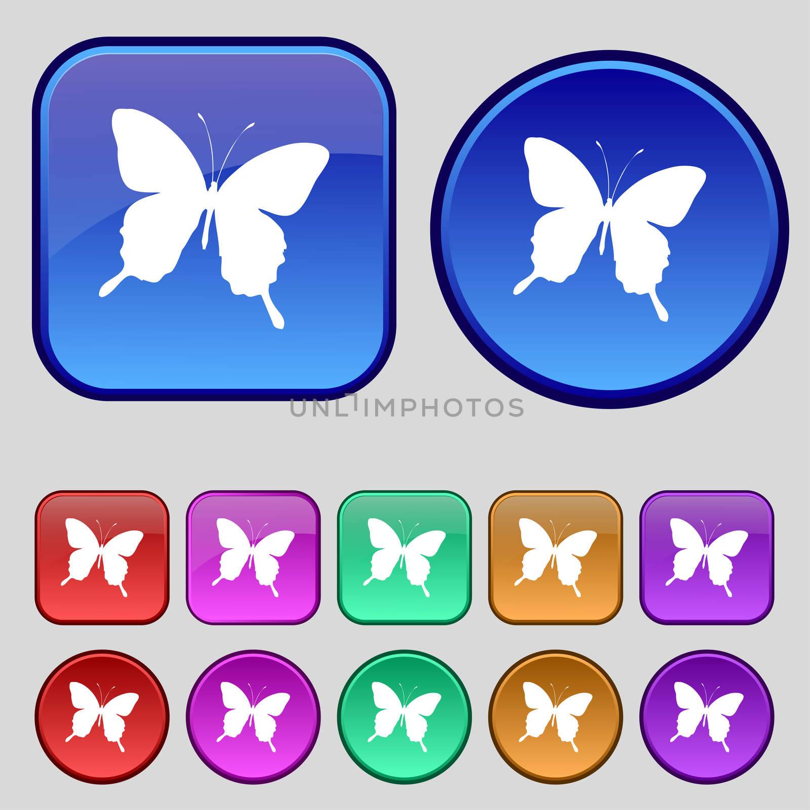 butterfly icon sign. A set of twelve vintage buttons for your design.  by serhii_lohvyniuk