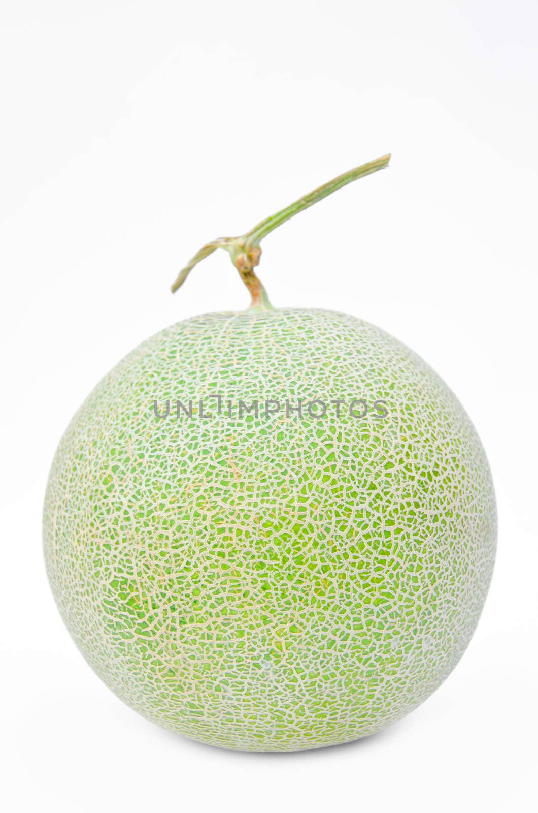 Big fresh Melon by Gamjai