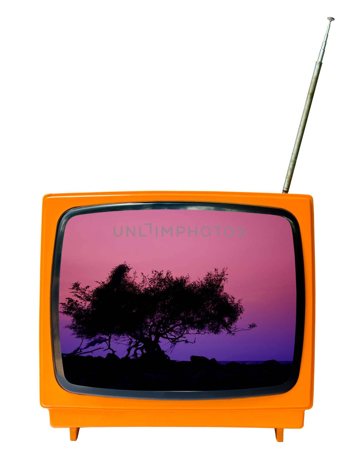 landscape of sunset with silhouette of tree in vintage television