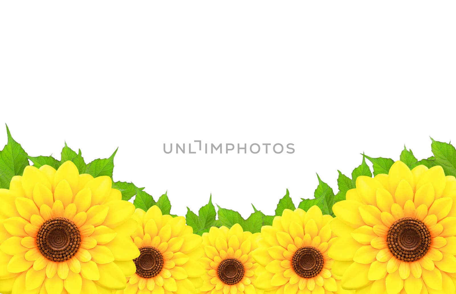 frameof sunflowers and leaf around a blank white space.
