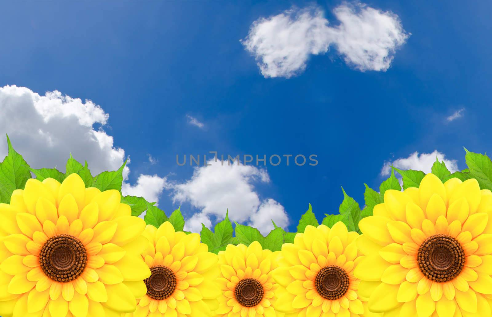 Sunflower and leaves with blue sky