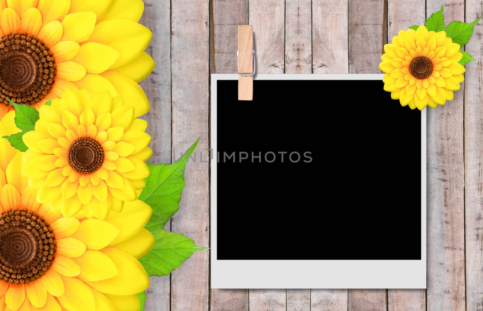 Empty instant photos and sunflowers on old wooden texture