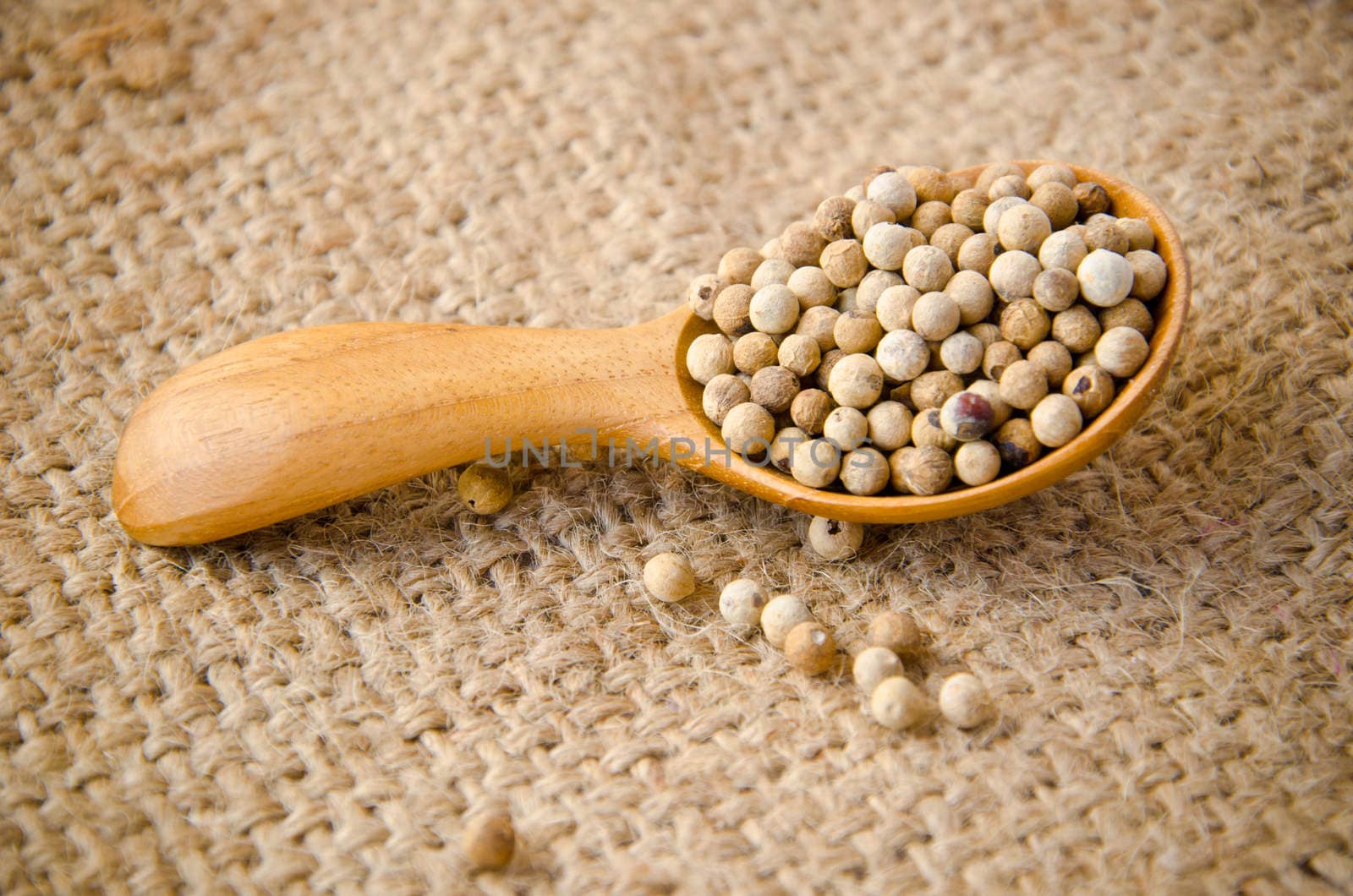 Allspice peppercorns in wooden spoon on sack background