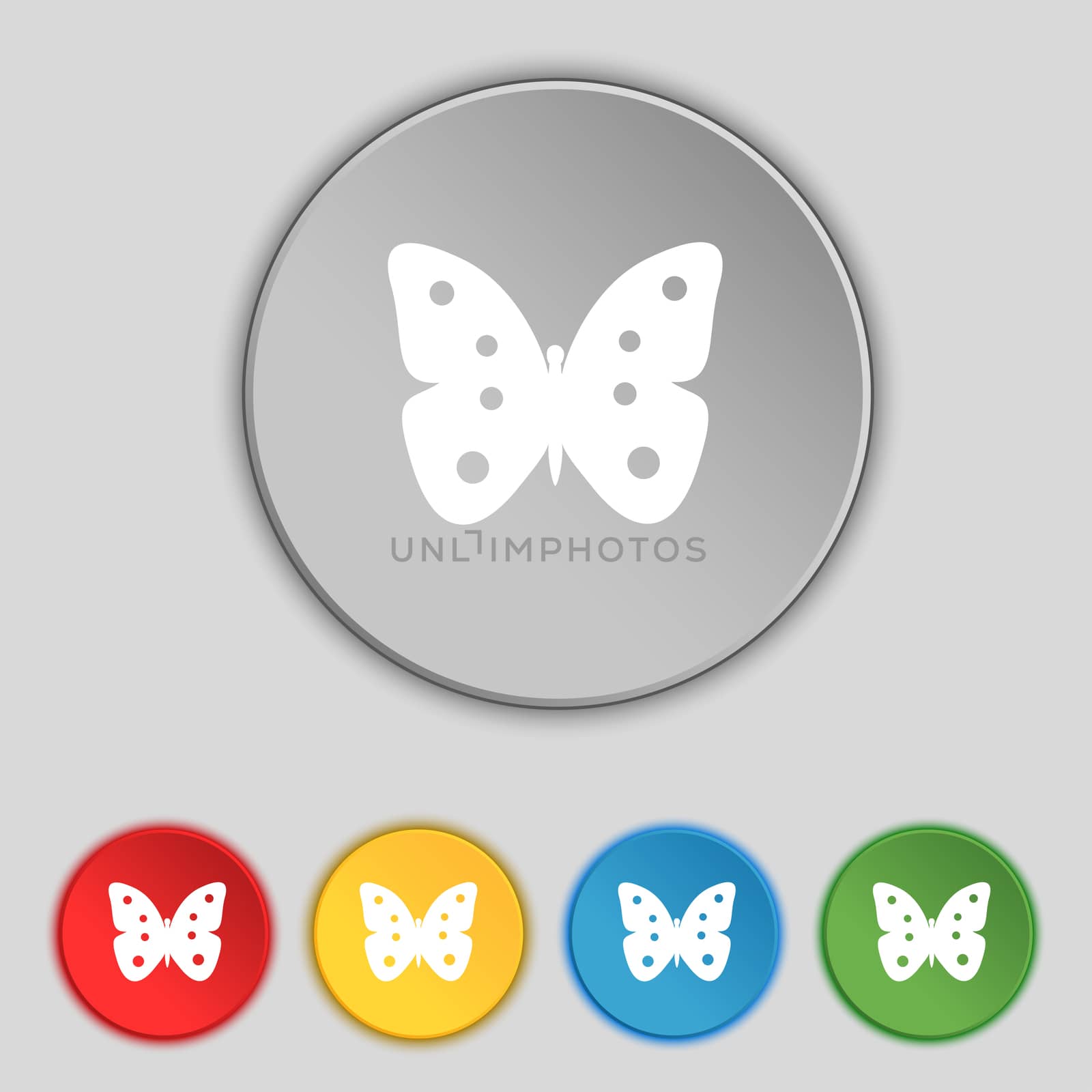 Butterfly sign icon. insect symbol. Set colourful buttons.  by serhii_lohvyniuk