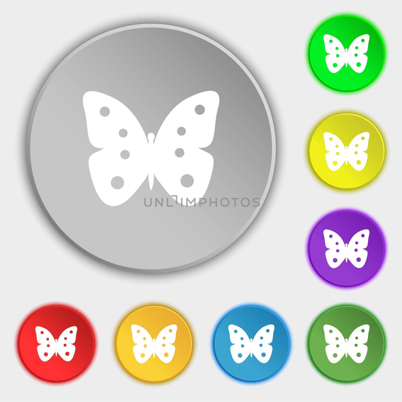 Butterfly sign icon. insect symbol. Symbols on eight flat buttons. illustration