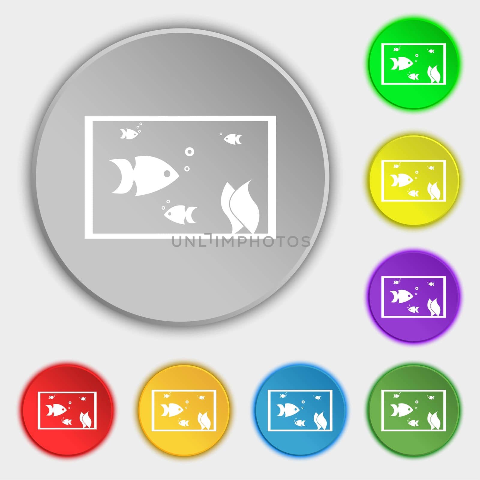 Aquarium, Fish in water icon sign. Symbols on eight flat buttons. illustration
