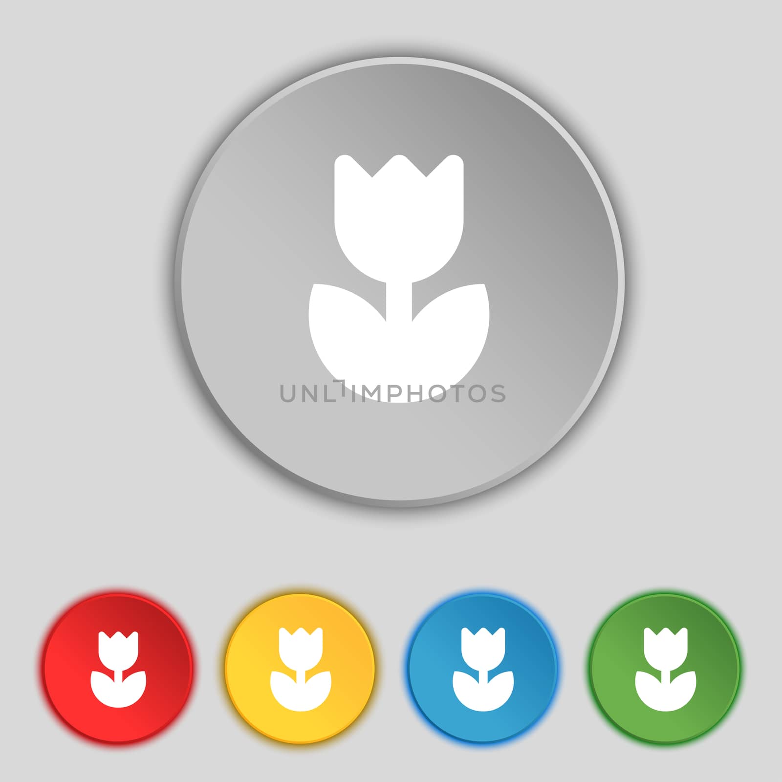 Flower, rose icon sign. Symbol on five flat buttons. illustration