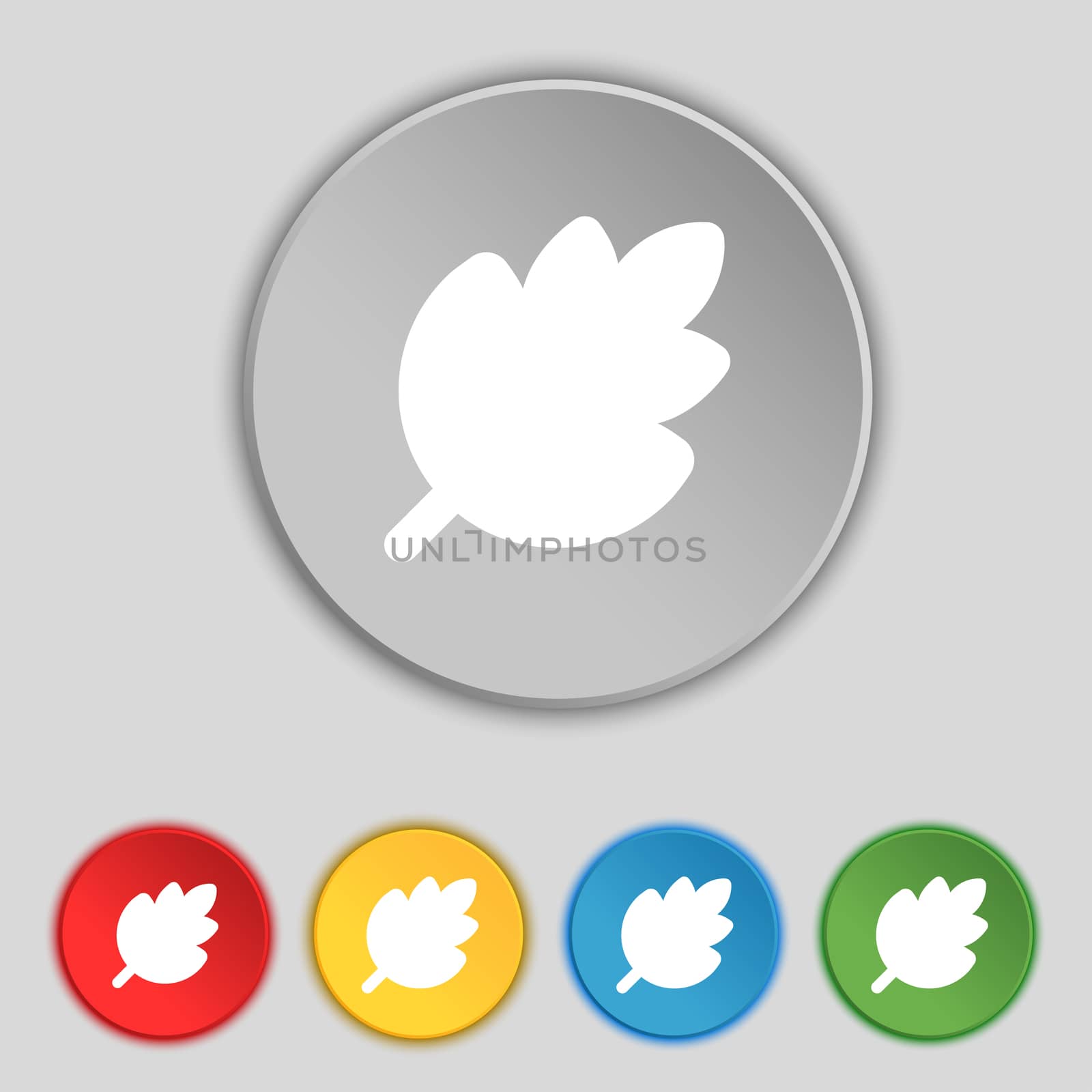 Leaf, Fresh natural product icon sign. Symbol on five flat buttons. illustration