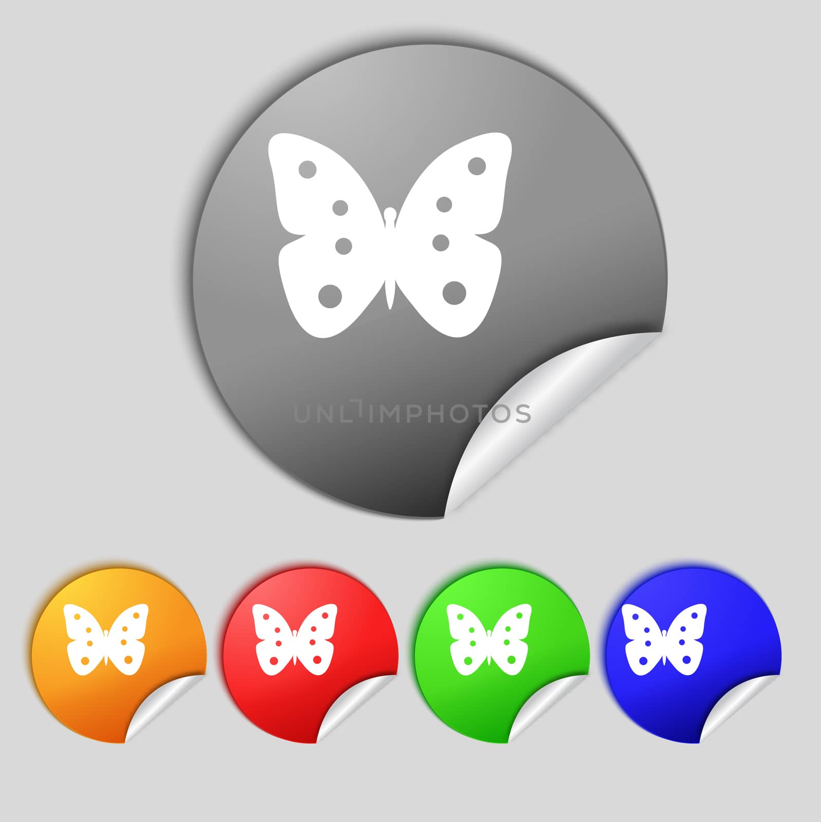 Butterfly sign icon. insect symbol. Set colourful buttons.  by serhii_lohvyniuk