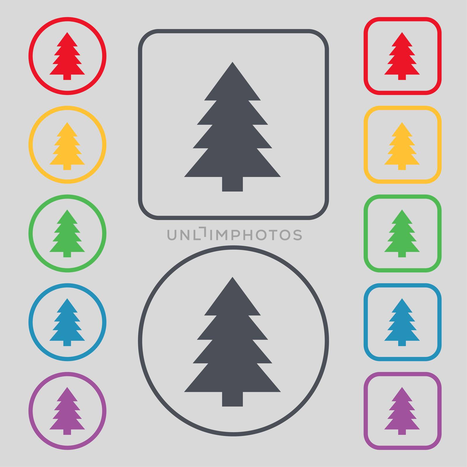 Christmas tree sign icon. Holidays button. Set of colored buttons. illustration