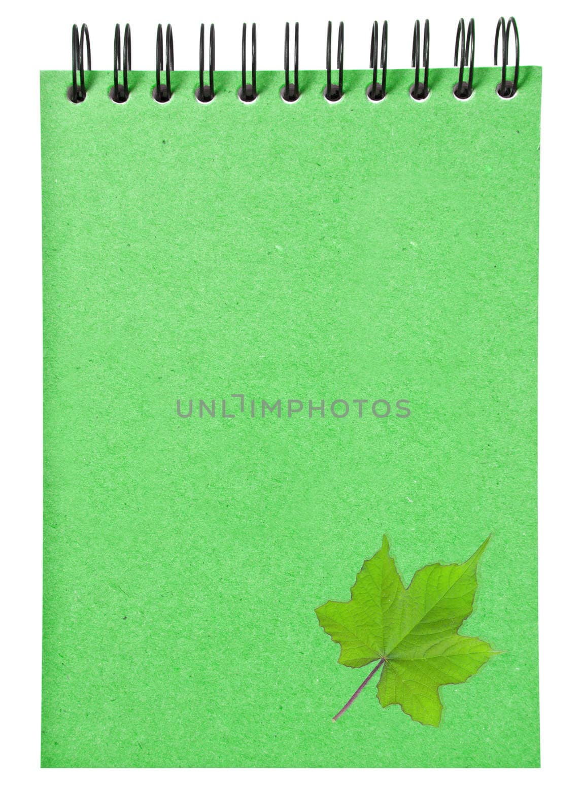leaves on ring binder green book isolated on white background, clipping path