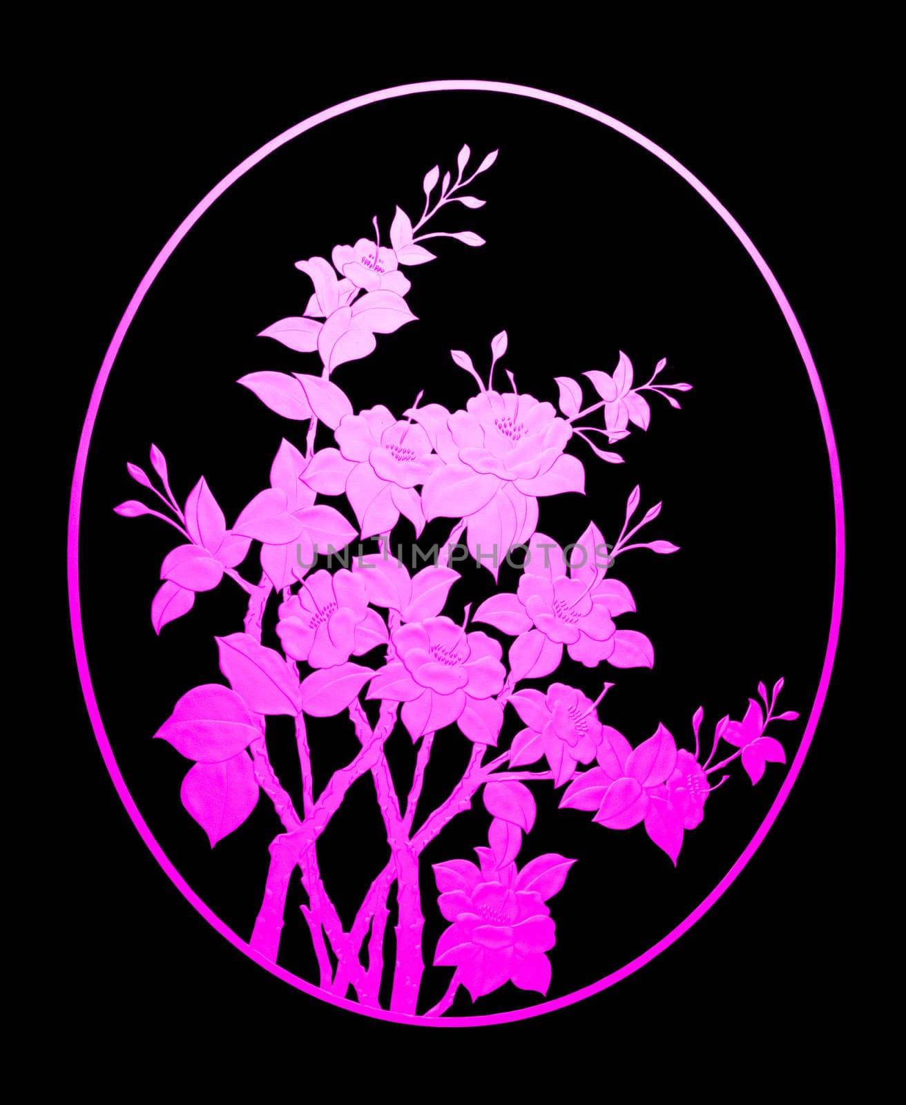 Pattern pink flower of glass on black background, clipping path