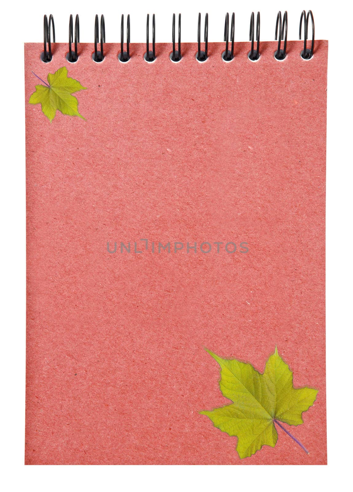 leaves on ring binder red book isolated on white background, clipping path