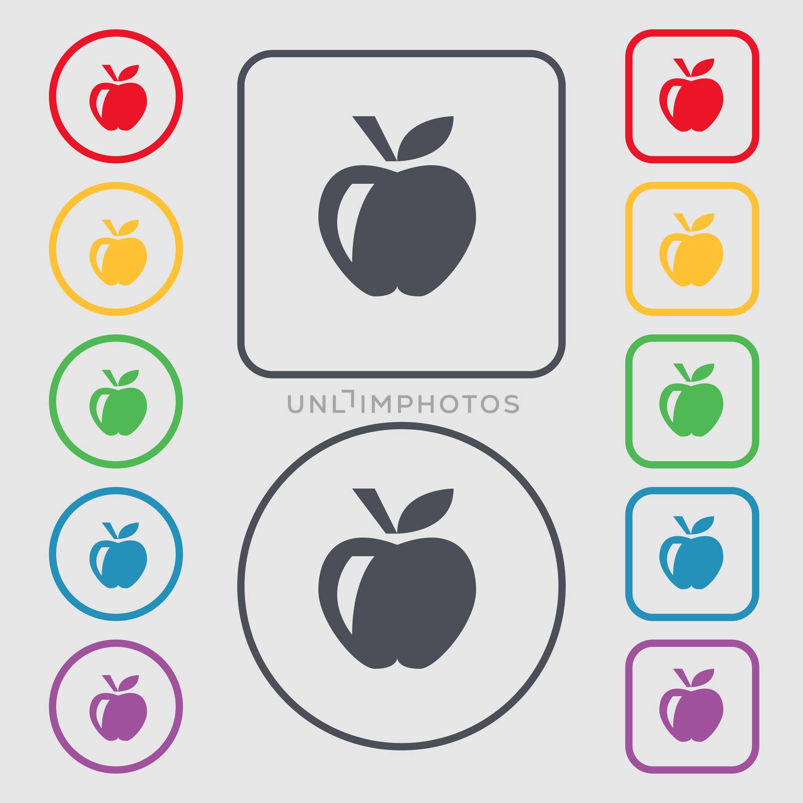 Apple icon sign. symbol on the Round and square buttons with frame. illustration