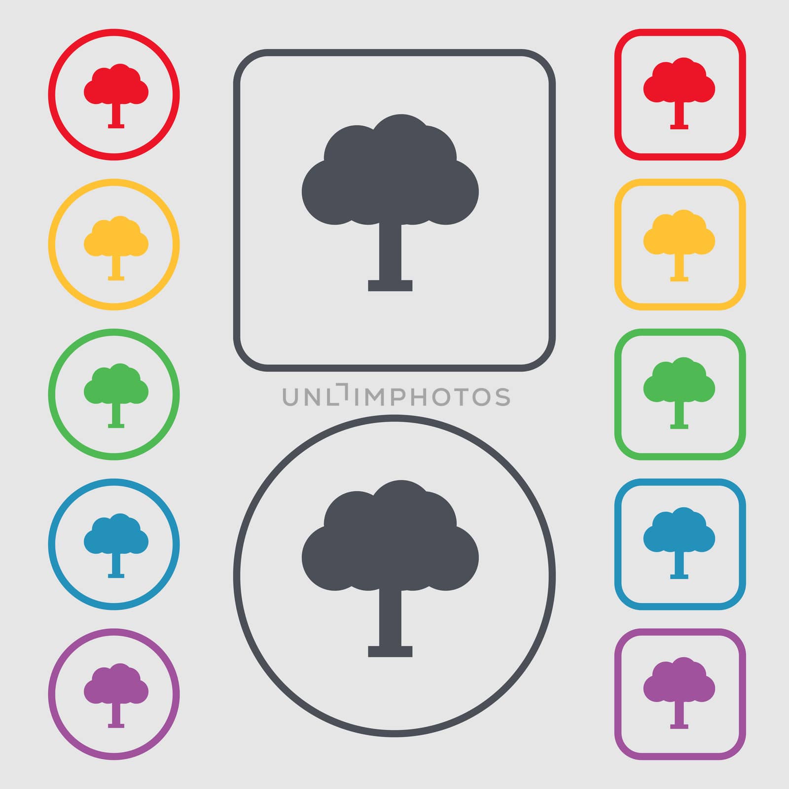 Tree, Forest icon sign. symbol on the Round and square buttons with frame. illustration