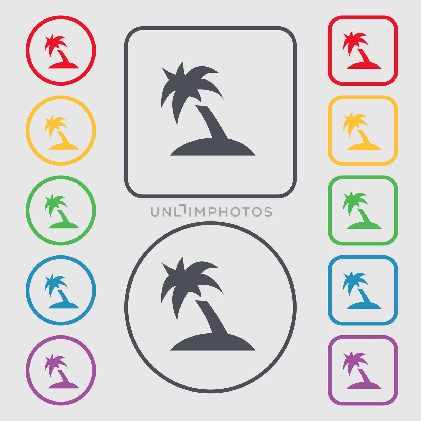 Palm Tree, Travel trip icon sign. symbol on the Round and square buttons with frame. illustration