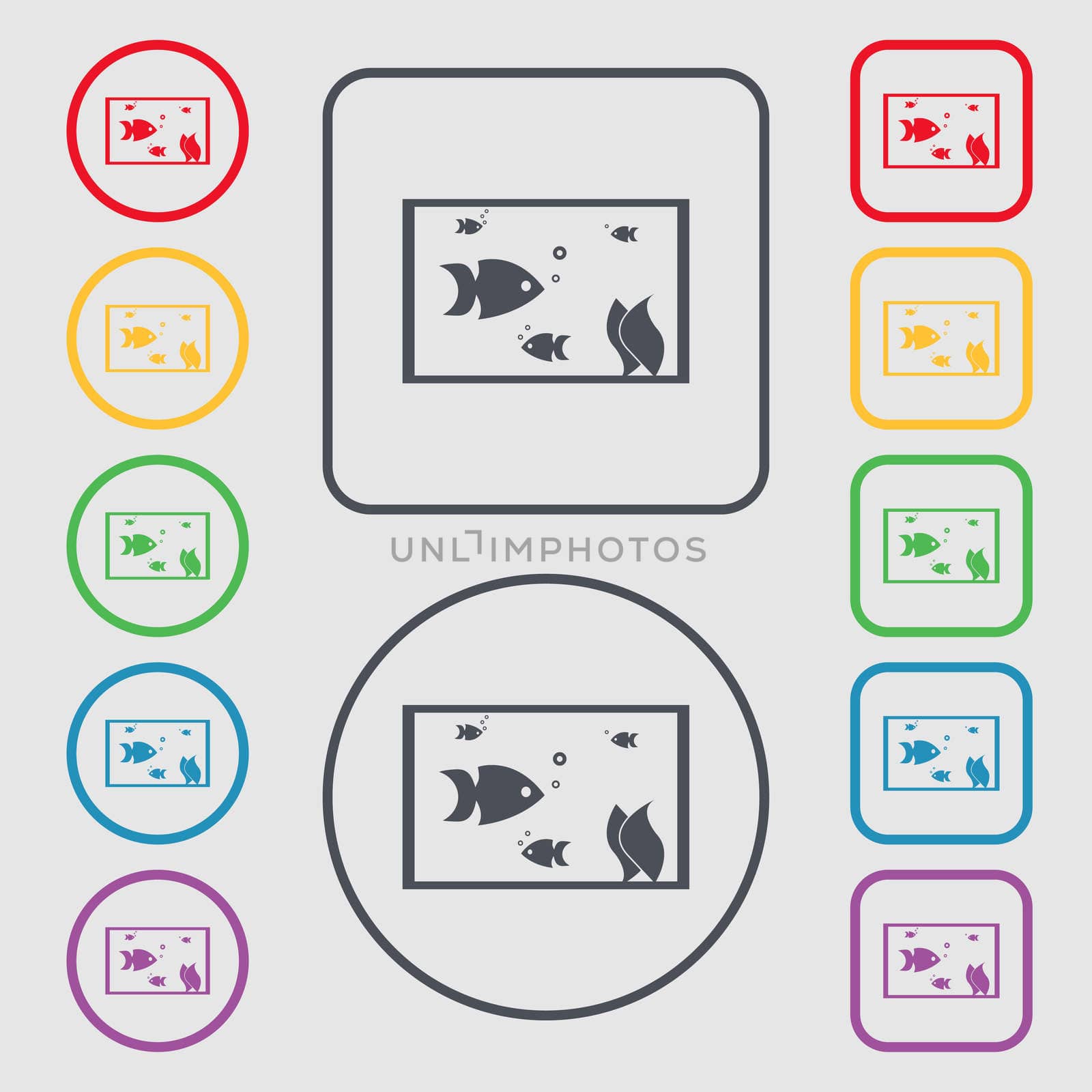 Aquarium, Fish in water icon sign. Symbols on the Round and square buttons with frame.  by serhii_lohvyniuk