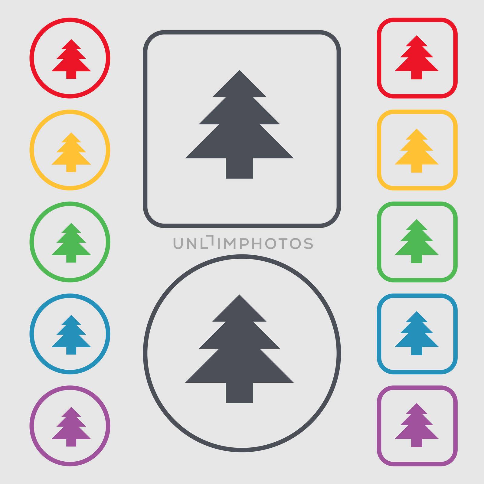 Christmas tree icon sign. symbol on the Round and square buttons with frame. illustration