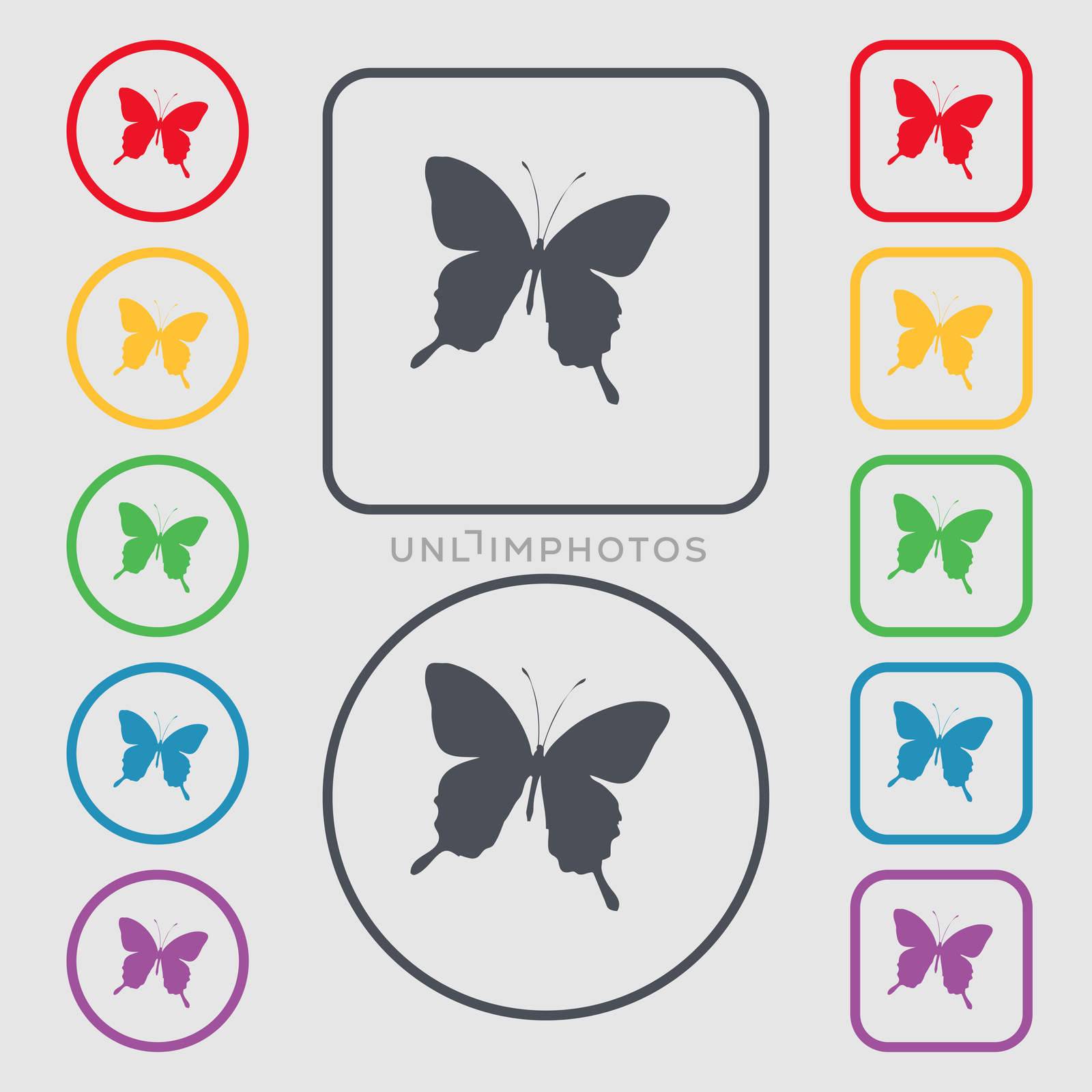 butterfly icon sign. symbol on the Round and square buttons with frame.  by serhii_lohvyniuk