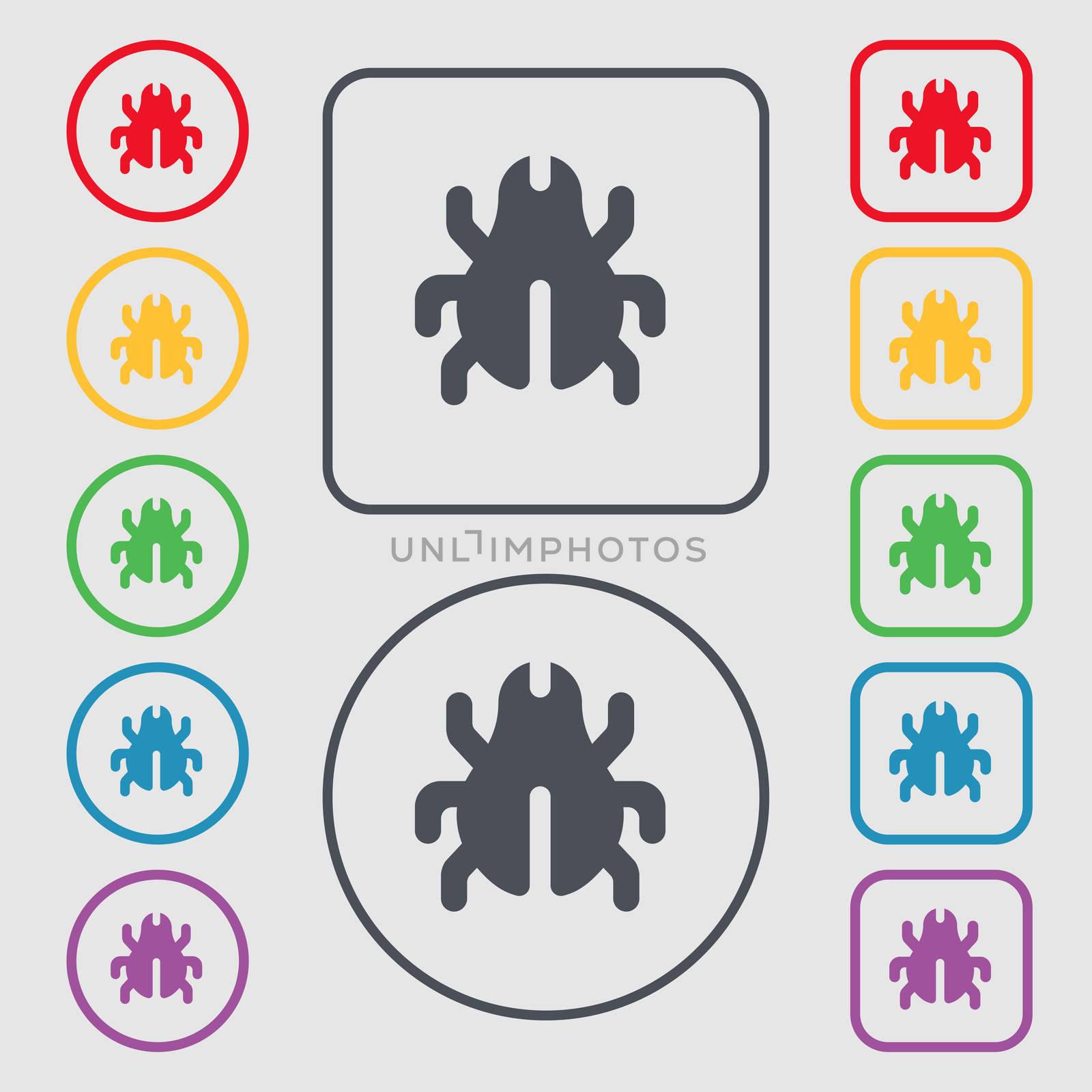 Software Bug, Virus, Disinfection, beetle icon sign. symbol on the Round and square buttons with frame. illustration