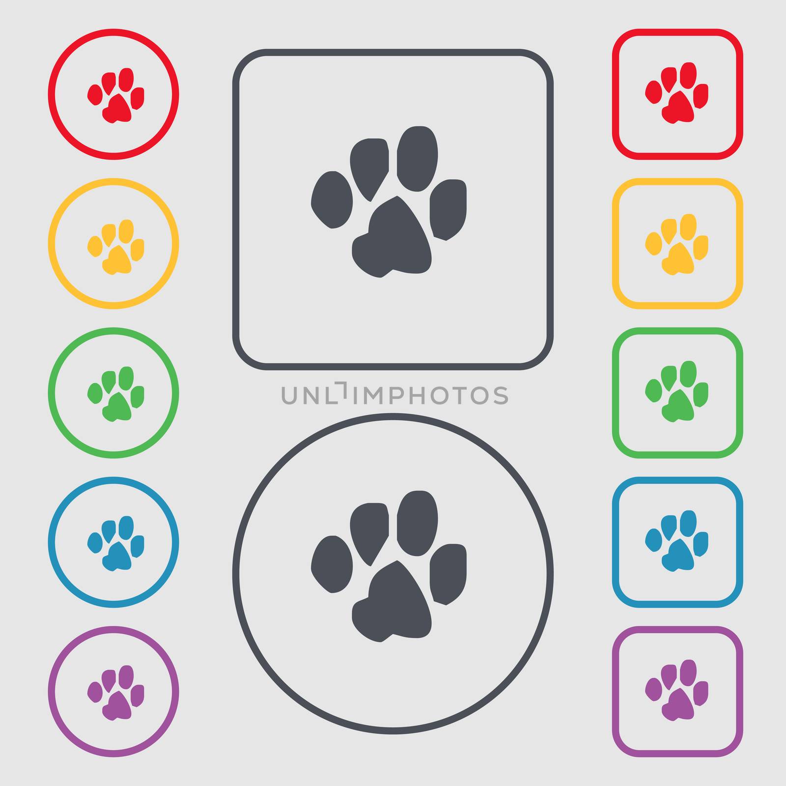 trace dogs icon sign. symbol on the Round and square buttons with frame.  by serhii_lohvyniuk