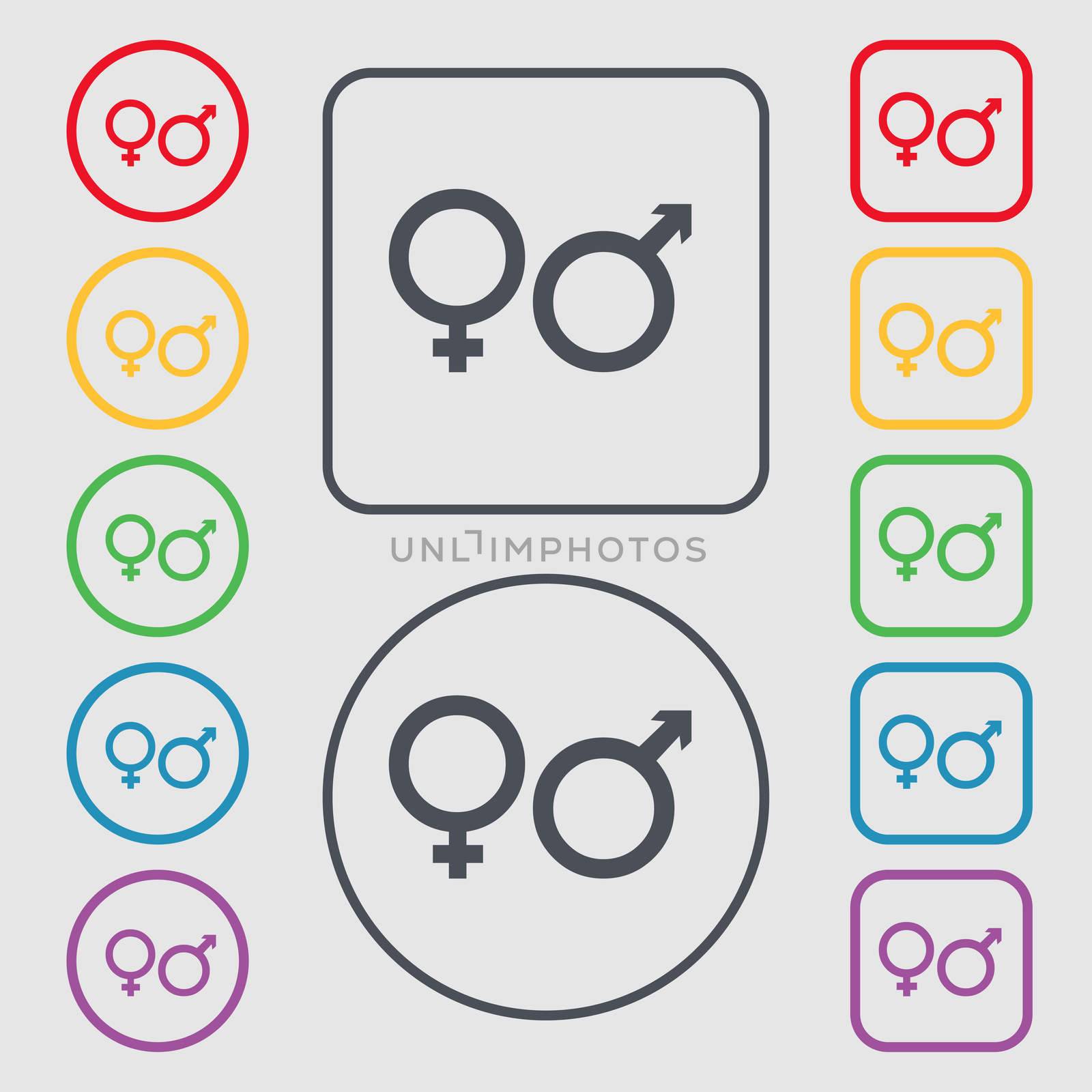 male and female icon sign. symbol on the Round and square buttons with frame.  by serhii_lohvyniuk