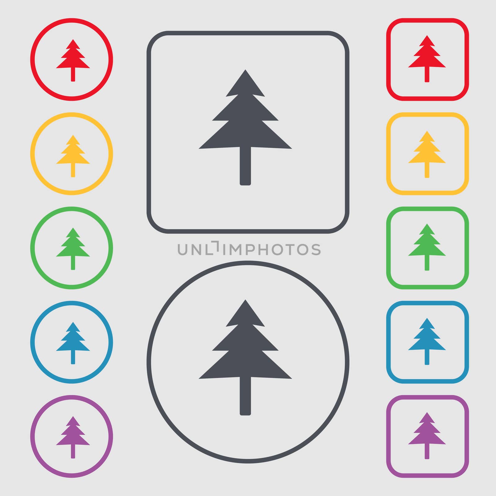 Christmas tree icon sign. symbol on the Round and square buttons with frame.  by serhii_lohvyniuk