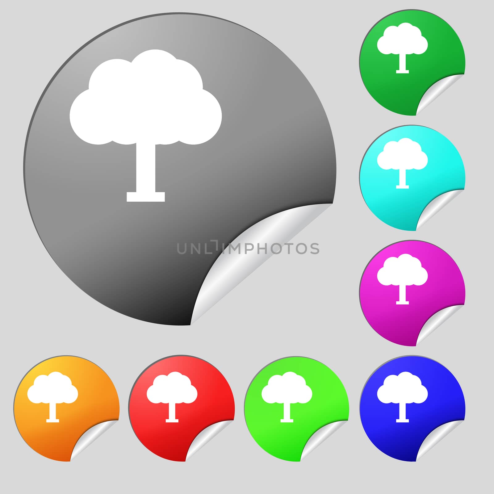 Tree, Forest icon sign. Set of eight multi-colored round buttons, stickers. illustration