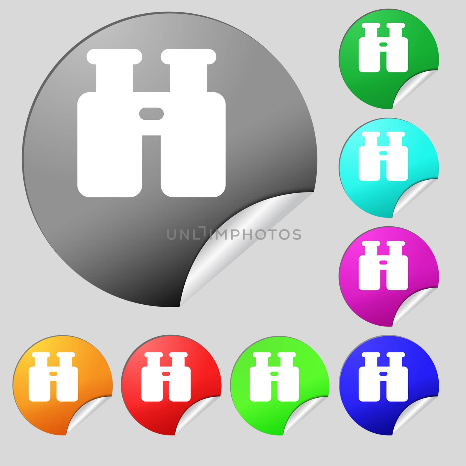 Binocular, Search, Find information icon sign. Set of eight multi-colored round buttons, stickers. illustration