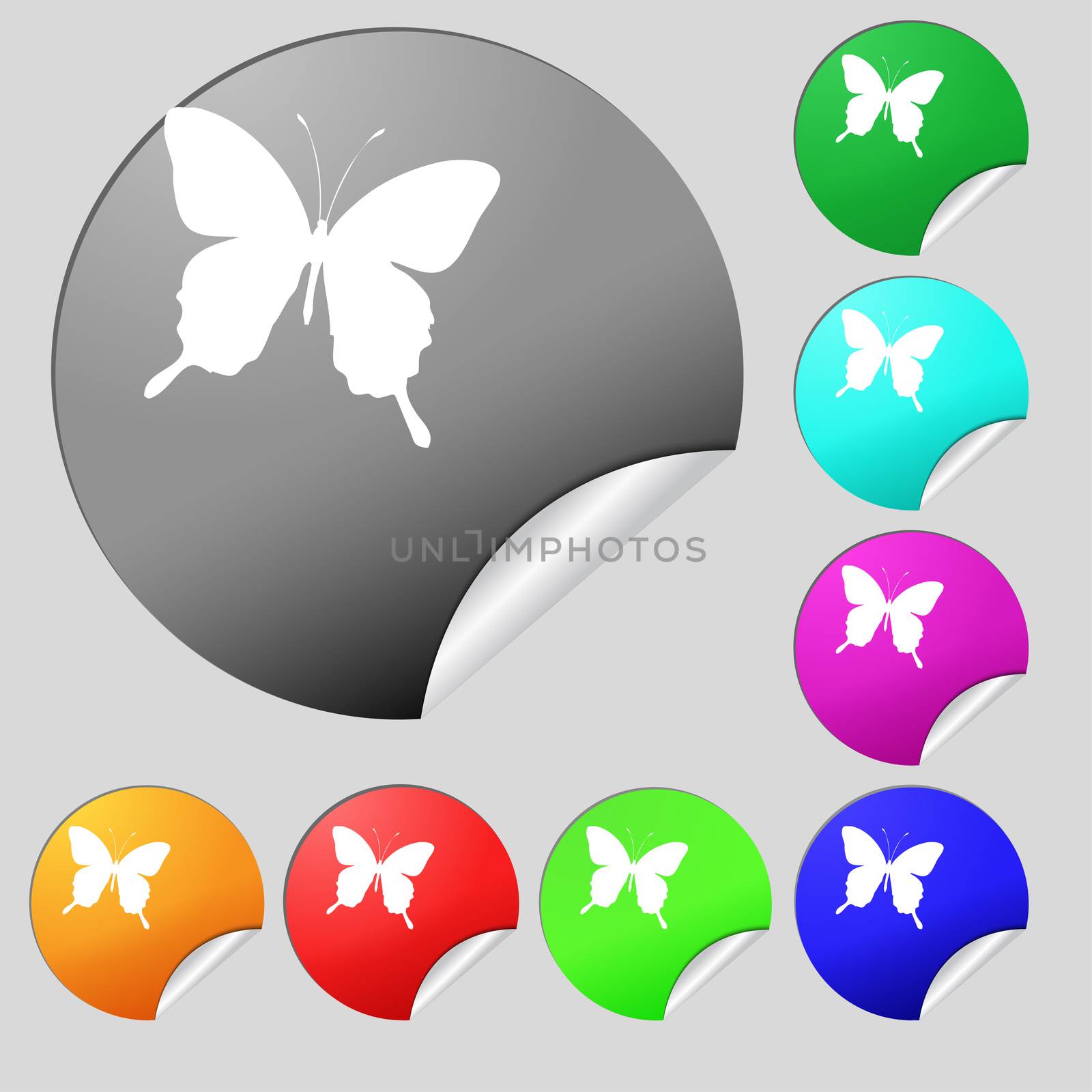butterfly icon sign. Set of eight multi colored round buttons, stickers.  by serhii_lohvyniuk