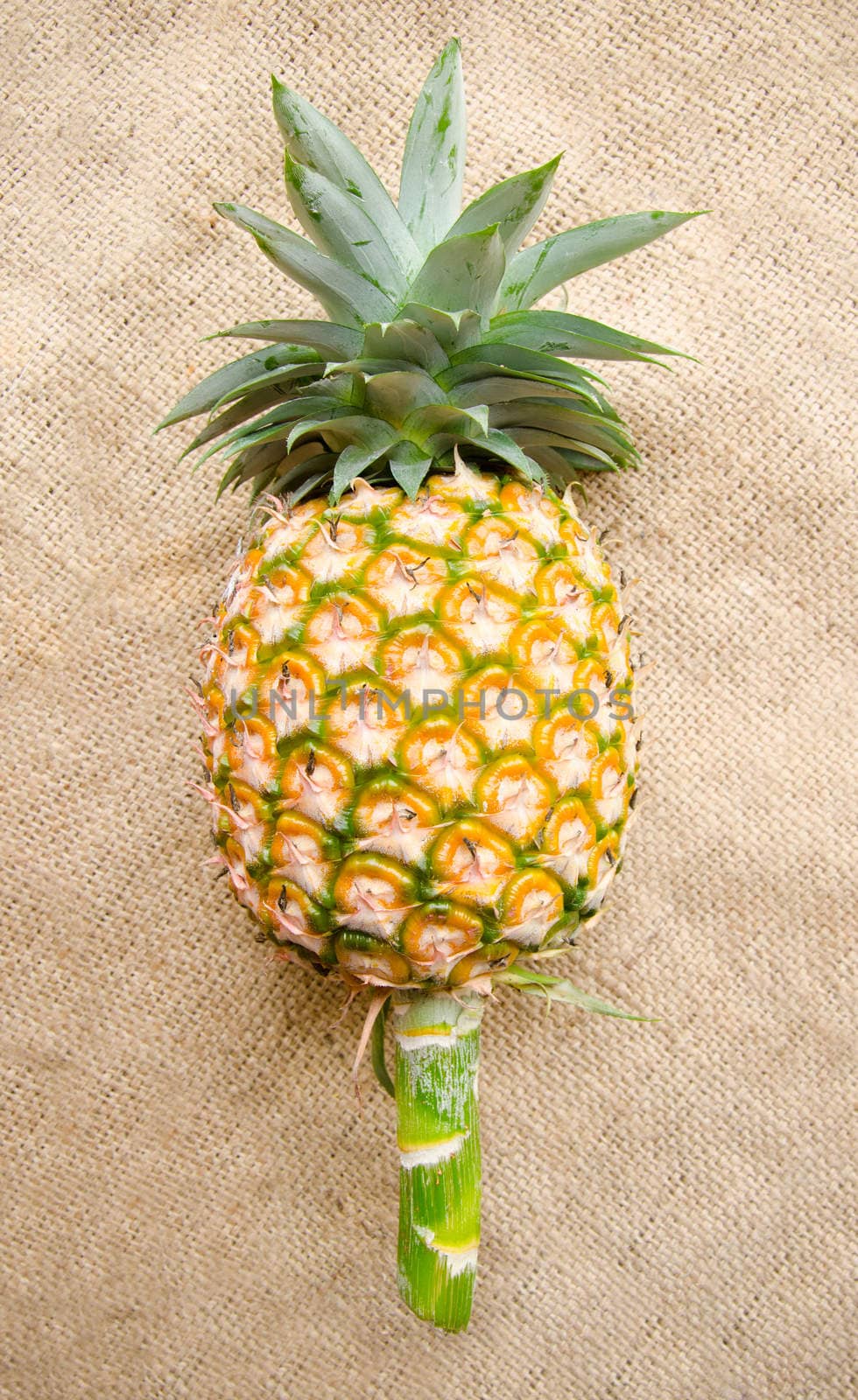 Pineapple on sack