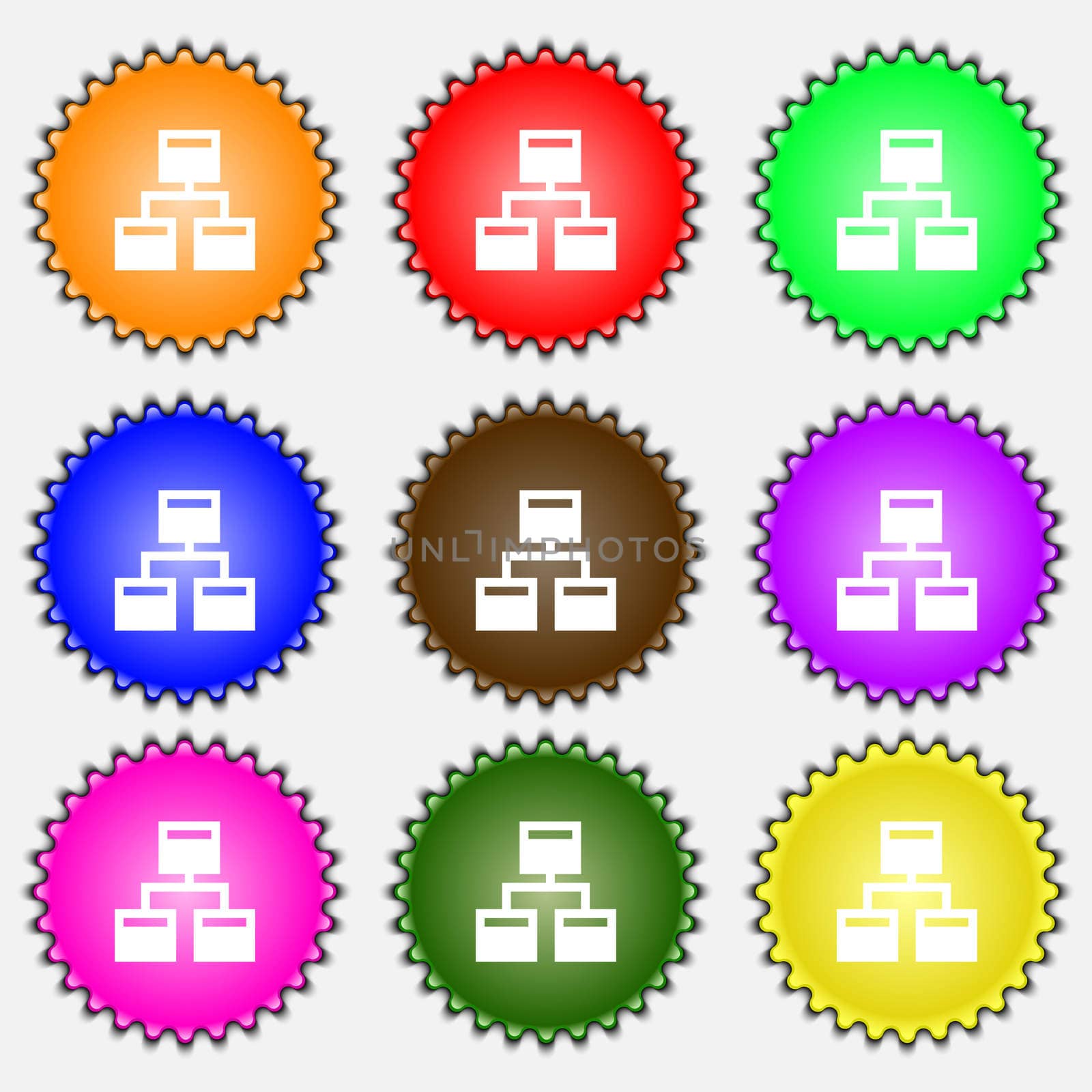 Local Network icon sign. A set of nine different colored labels. illustration 