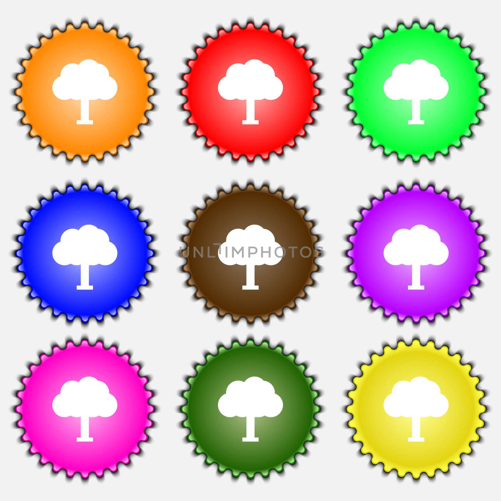Tree, Forest icon sign. A set of nine different colored labels. illustration 