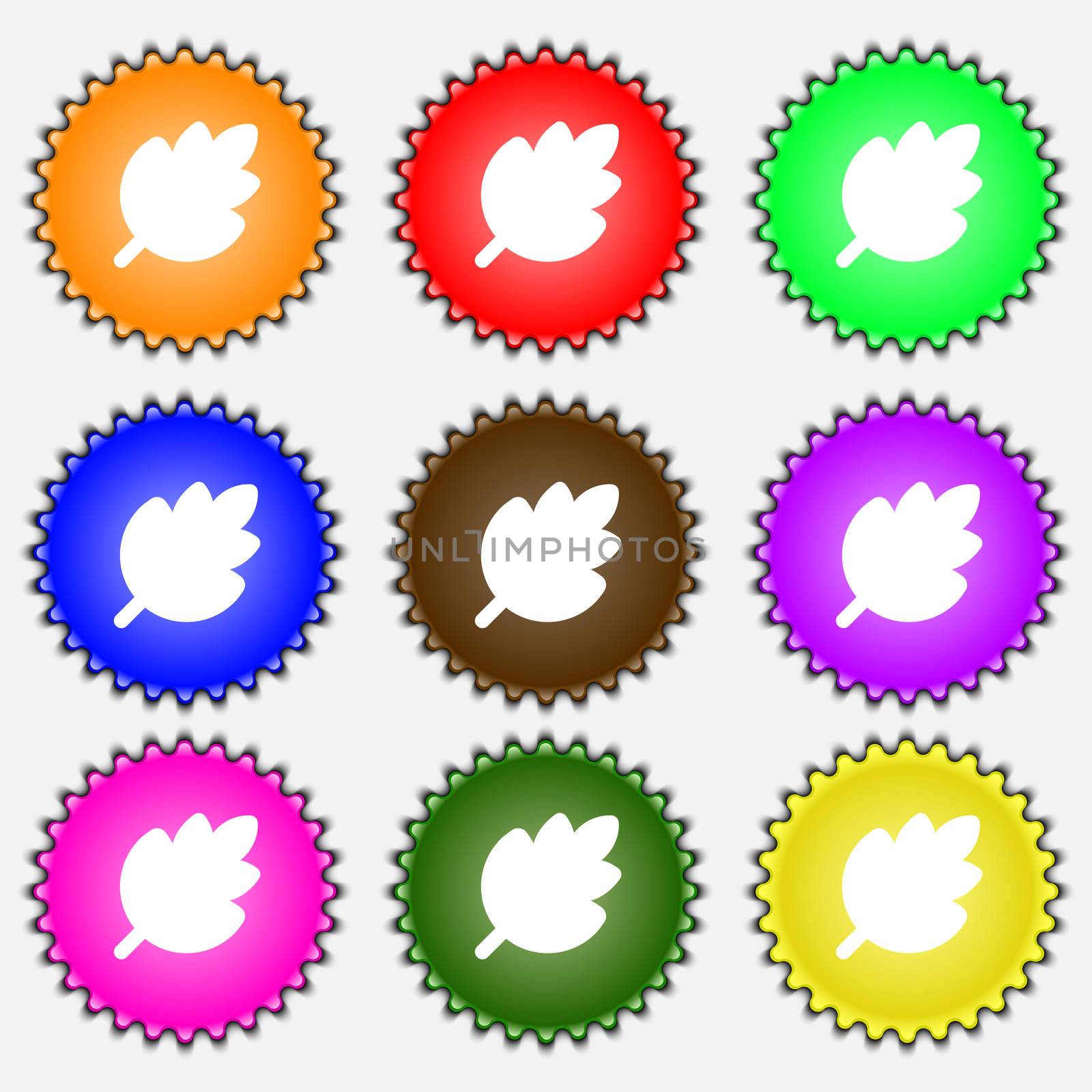 Leaf, Fresh natural product icon sign. A set of nine different colored labels.  by serhii_lohvyniuk