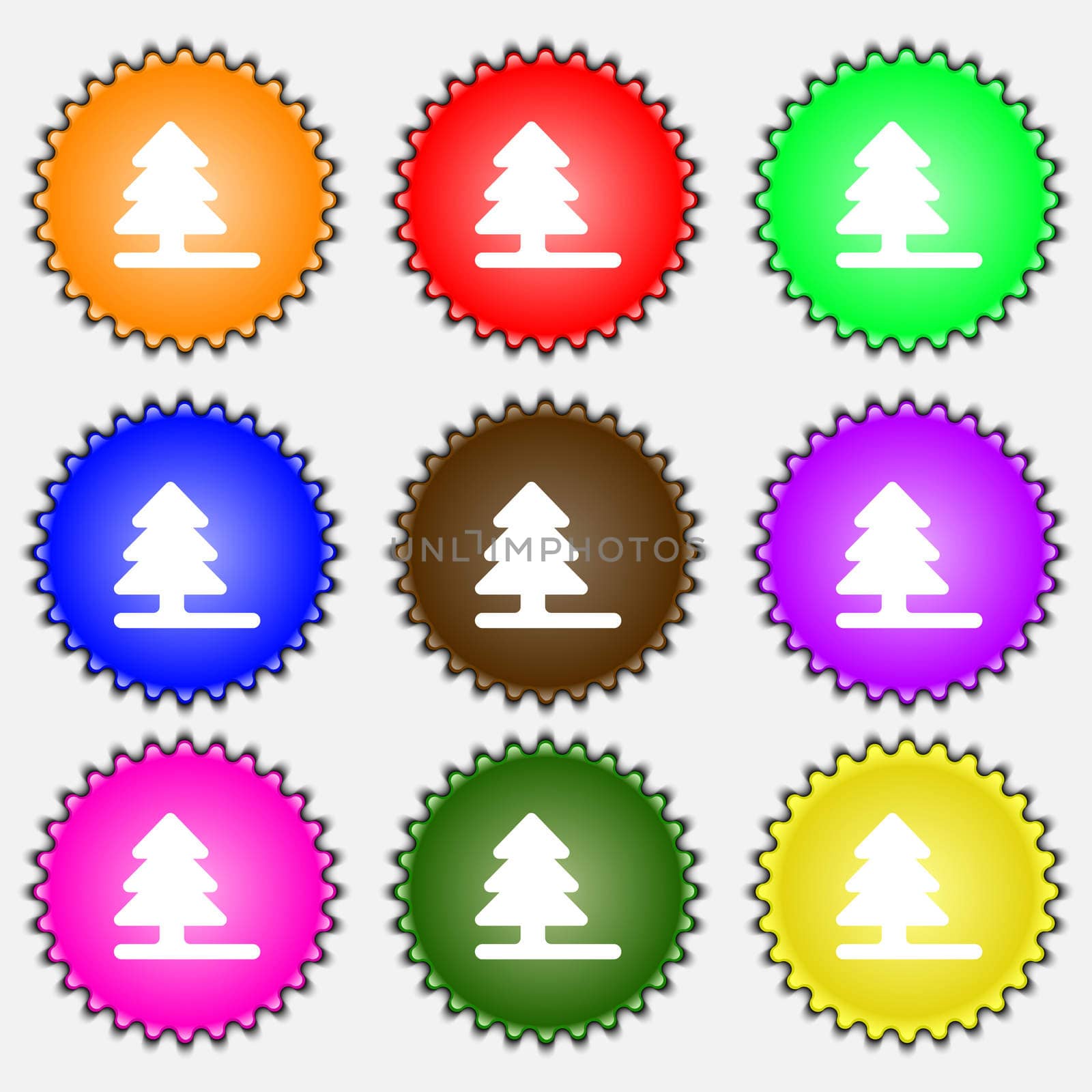 Christmas tree icon sign. A set of nine different colored labels. illustration