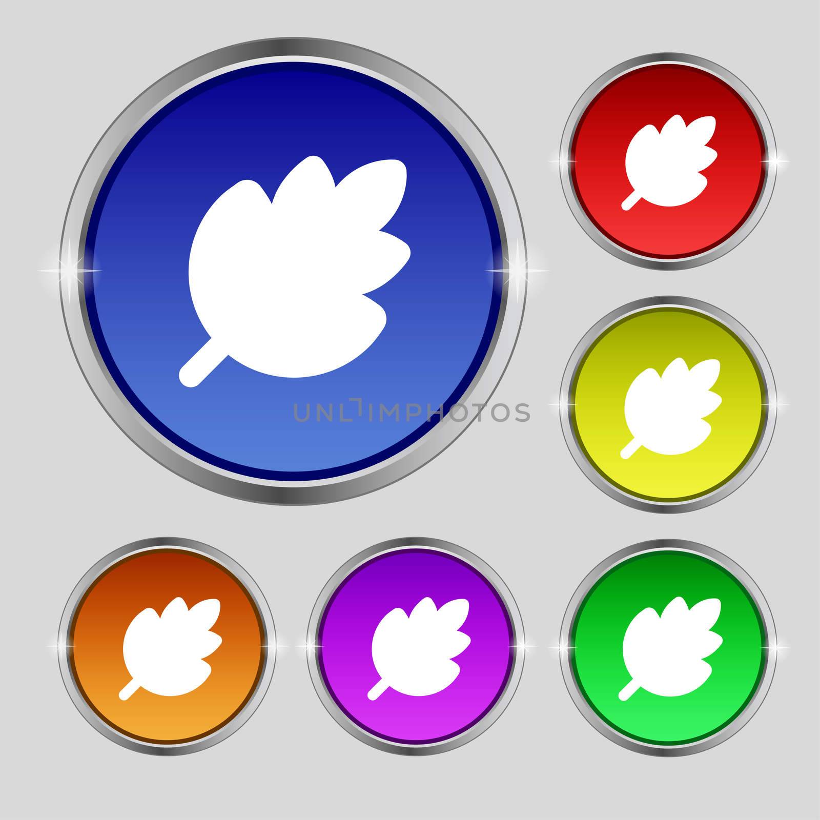 Leaf, Fresh natural product icon sign. Round symbol on bright colourful buttons. illustration