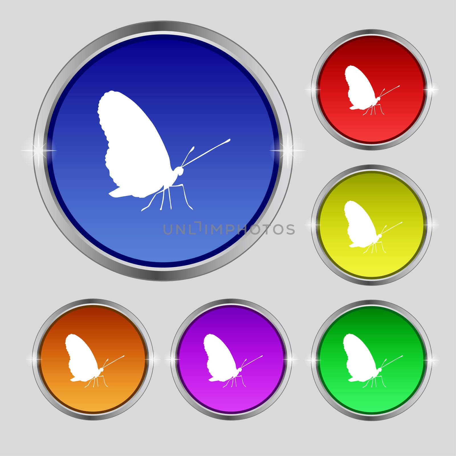 butterfly icon sign. Round symbol on bright colourful buttons.  by serhii_lohvyniuk