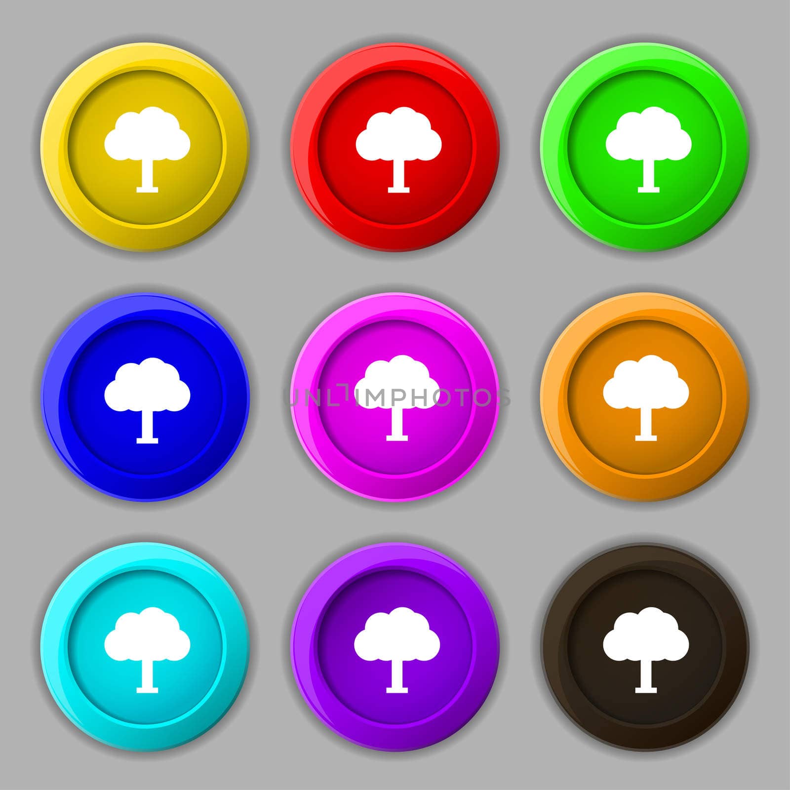 Tree, Forest icon sign. symbol on nine round colourful buttons.  by serhii_lohvyniuk