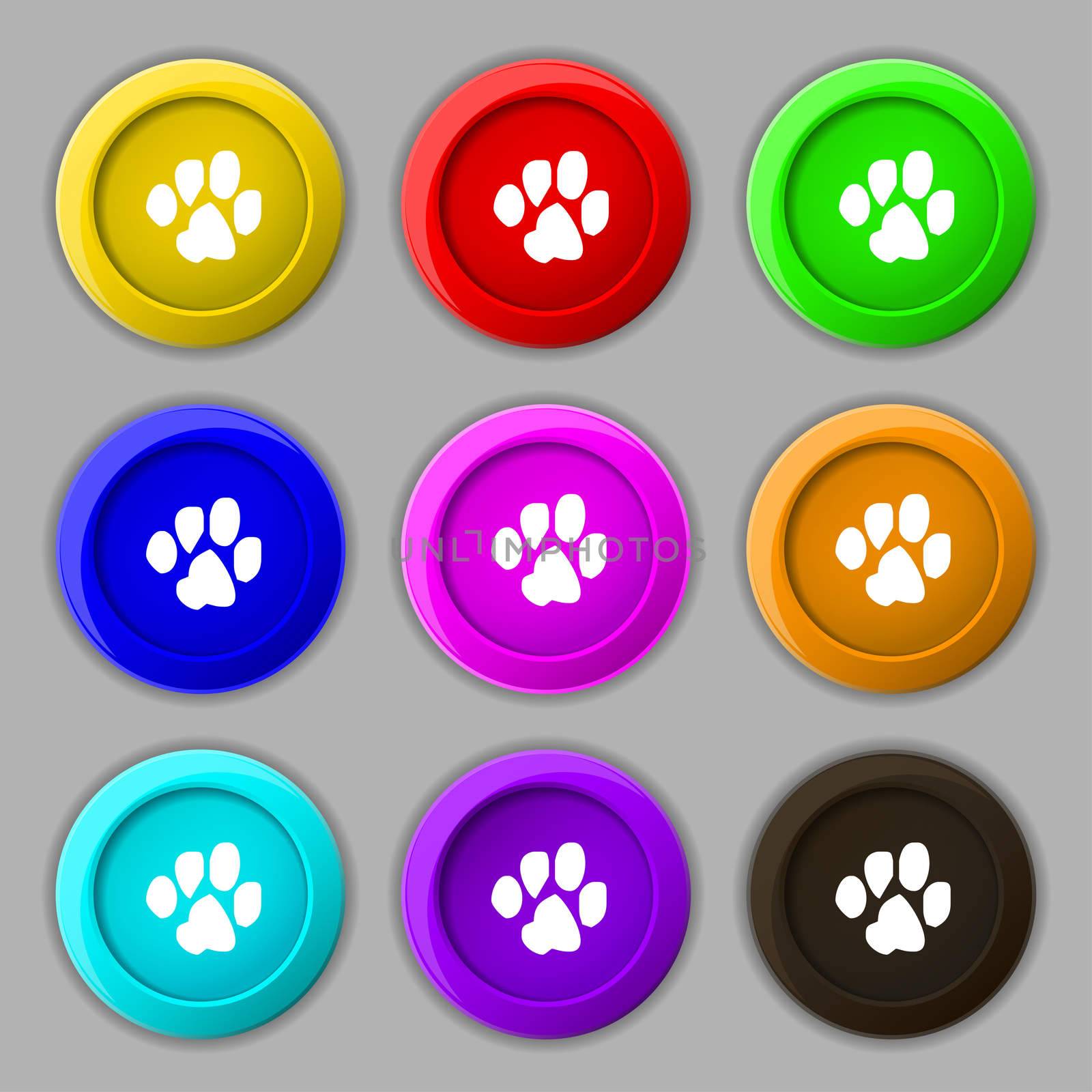 trace dogs icon sign. symbol on nine round colourful buttons. illustration