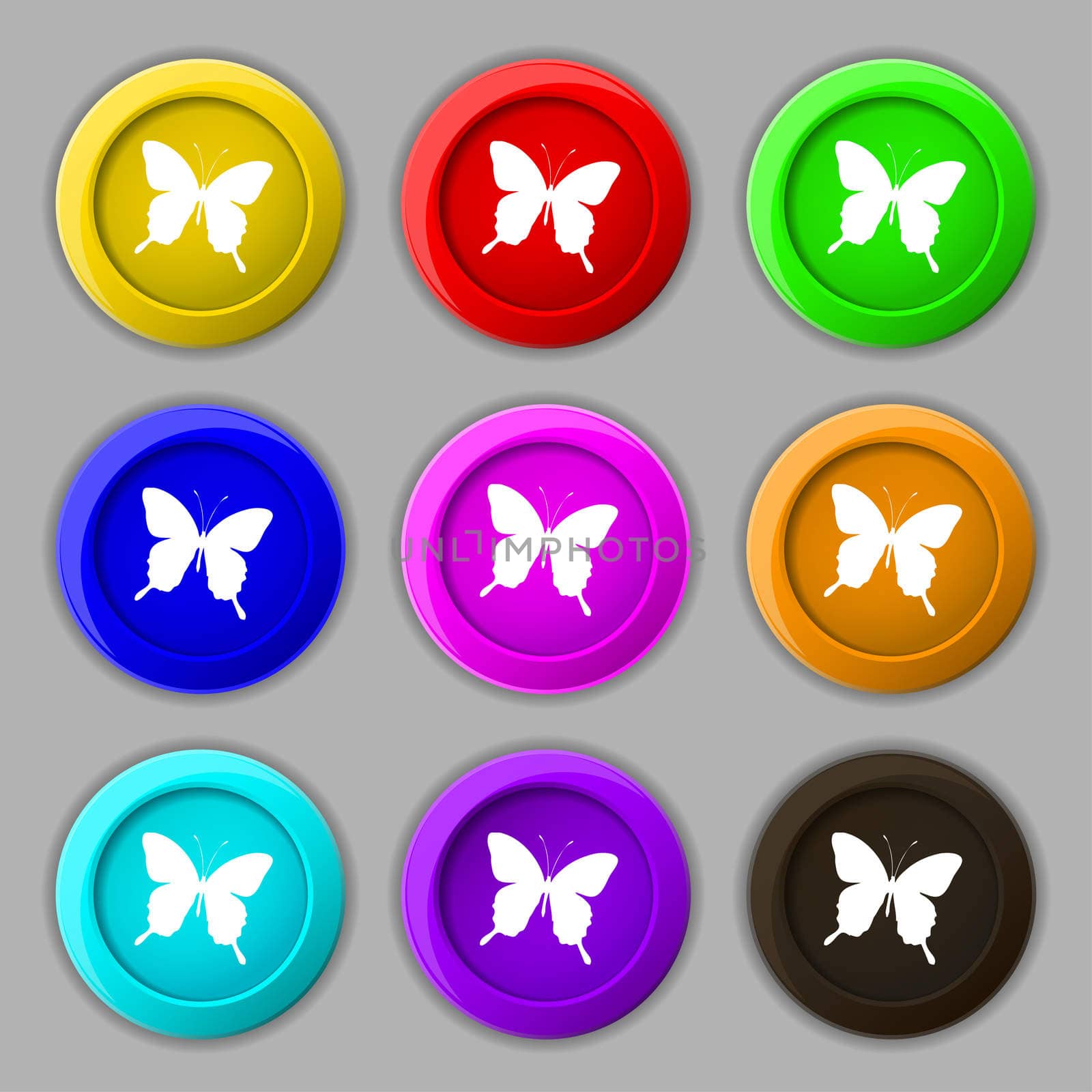butterfly icon sign. symbol on nine round colourful buttons. illustration