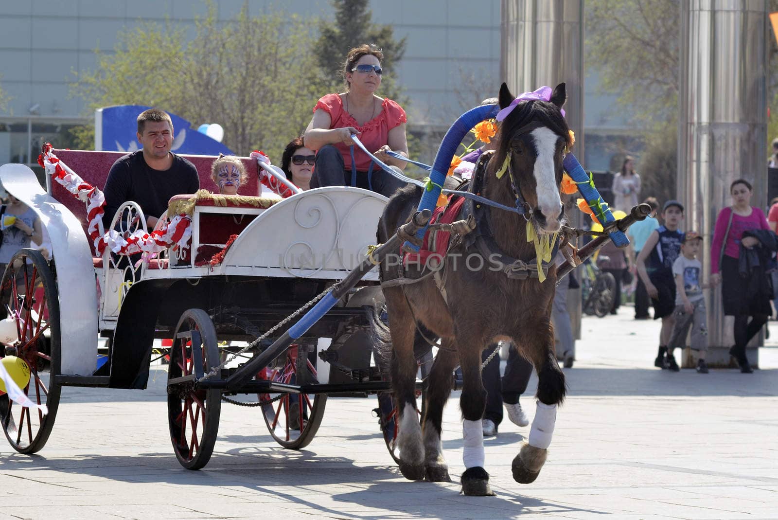 Driving on horses in city park by veronka72