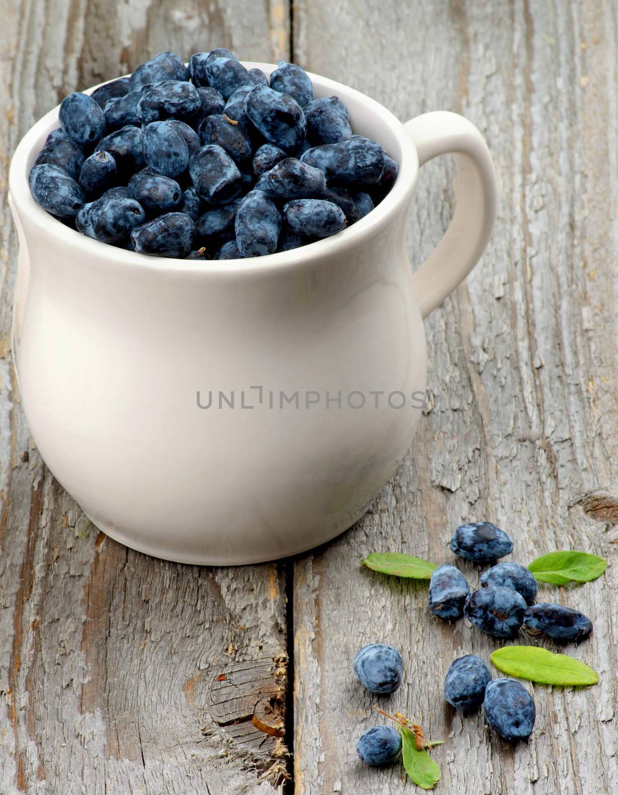 Fresh Ripe Honeysuckle Berries in White Tea Cup isolated on Rustic Wooden background