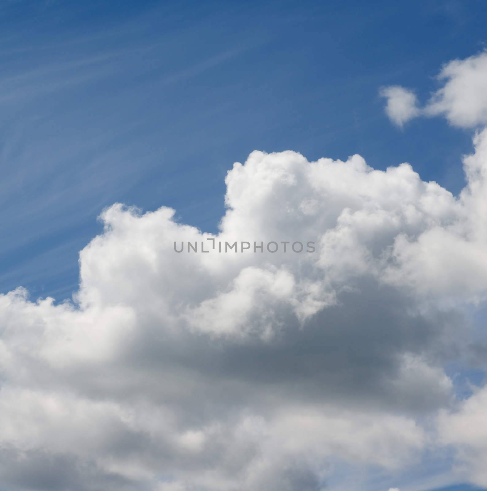 Fluffy Big White and Grey Cloud on Blue Sunny Sky Outdoors