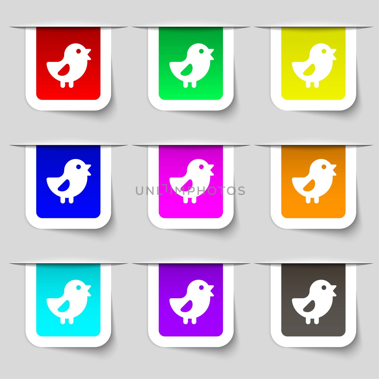 chicken, Bird icon sign. Set of multicolored modern labels for your design.  by serhii_lohvyniuk