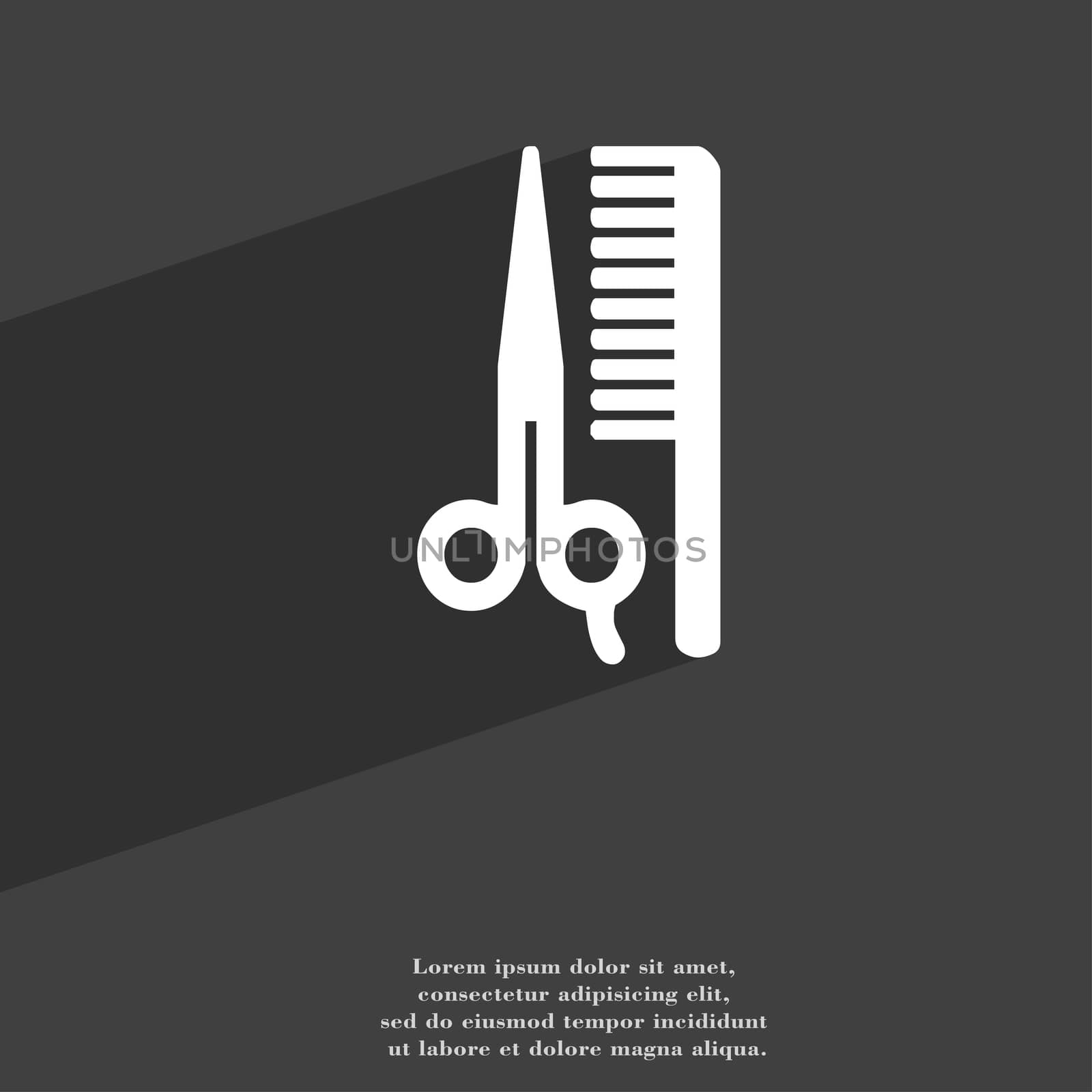 hair icon symbol Flat modern web design with long shadow and space for your text.  by serhii_lohvyniuk