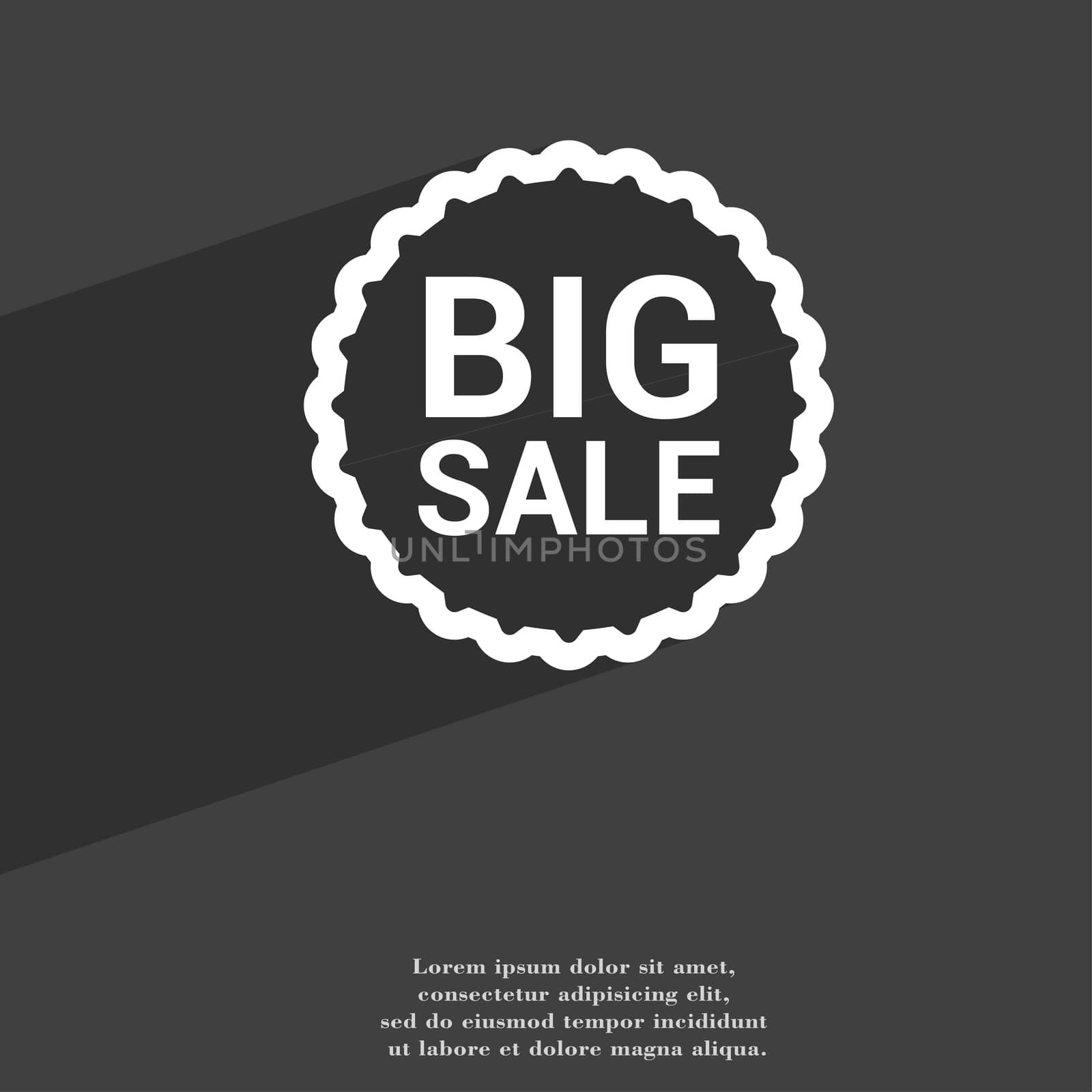 Big sale icon symbol Flat modern web design with long shadow and space for your text. illustration