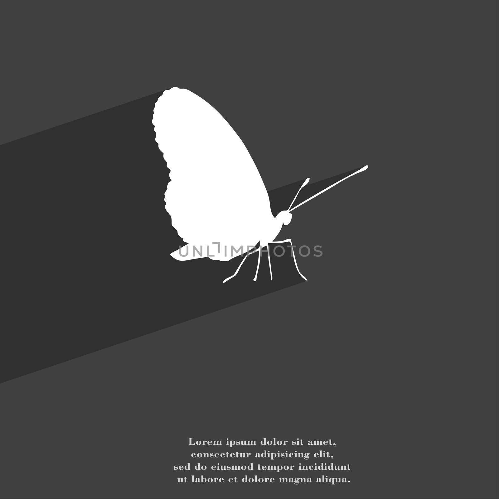 butterfly icon symbol Flat modern web design with long shadow and space for your text.  by serhii_lohvyniuk